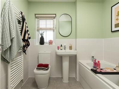 Picture 8